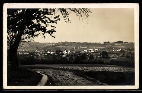 AK Neuhofen a. d. Krems, Panorama mit Kirche
