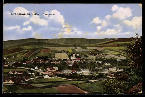 AK Breitenwaida, Panorama