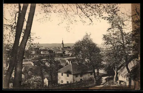 AK Wels /O.-Oe., Teilansicht mit Kirche