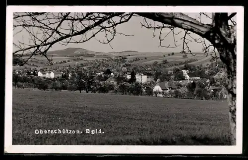 AK Oberschützen /Bgld., Panorama mit Kirche