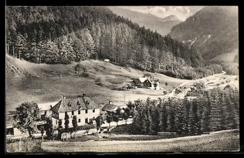 AK Nasswald /N.-Oe., Wallners Gasthof gegen das Reisstal