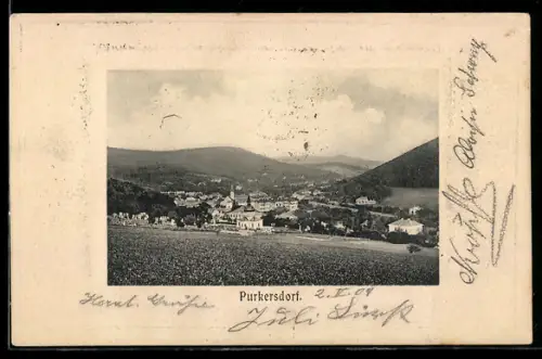 AK Purkersdorf, Panorama mit Kirche und Häusern