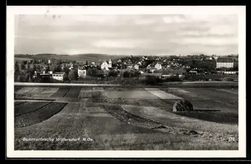 AK Wilfersdorf /Niederösterreich, Panorama mit Ort und Feldern