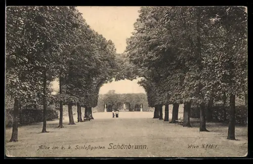 AK Wien, Allee im k. k. Schlossgarten Schönbrunn