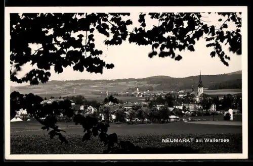 AK Neumarkt am Wallersee, Panorama mit Kirche