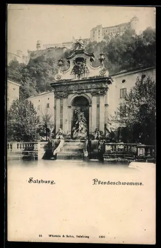 AK Salzburg, Pferdeschwemme