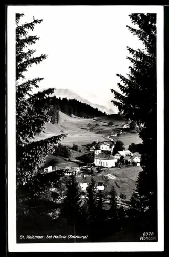 AK St. Koloman /Hallein, Panorama mit Kirche