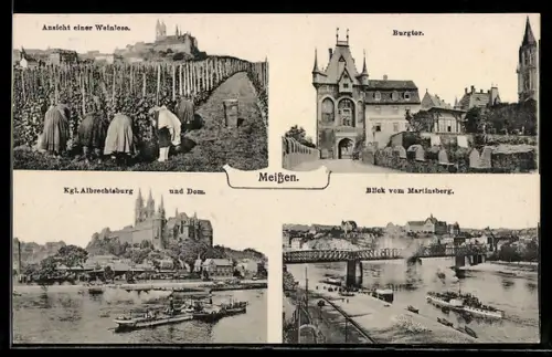 AK Meissen, Ansicht einer Weinlese, Burgtor, Kgl. Albrechtsburg und Dom, Blick vom Martinsberg