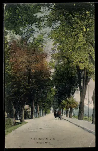 AK Dillingen a. D., Grosse Allee