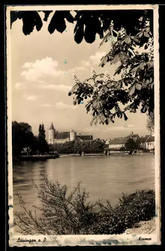 AK Lauingen a. D., Donaupartie mit Schloss