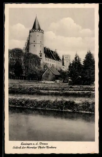 AK Lauingen a. d. Donau, Schloss der Herzoge Pfalz-Neuburg