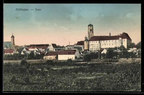 AK Dillingen, Gesamtansicht
