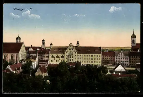 AK Dillingen a. D., Priesterseminar, Kirchen, Stadtansicht
