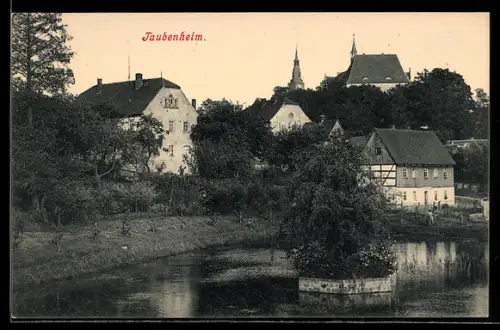 AK Taubenheim, Teilansicht vom Wasser aus gesehen