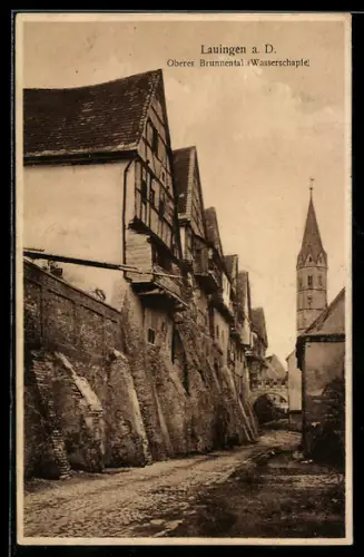 AK Lauingen, Oberes Brunnental, Wasserschapfe