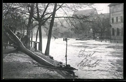 AK Nürnberg, Hochwasser 1909, Insel Schütt