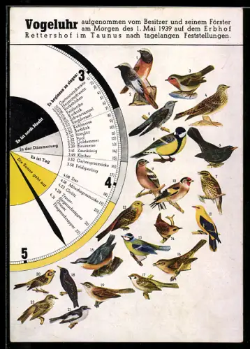 AK Kelkheim, Vogeluhr mit Abbildungen der Vögel