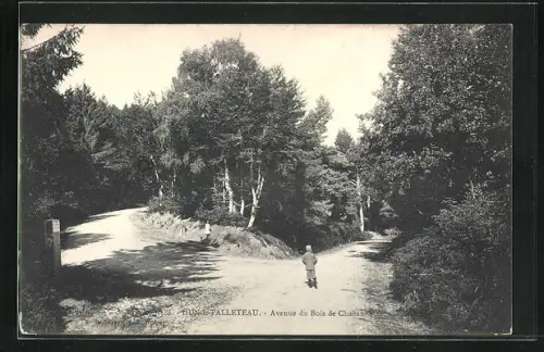 AK Dun-le-Palleteau, Avenue du Bois de Chabanne