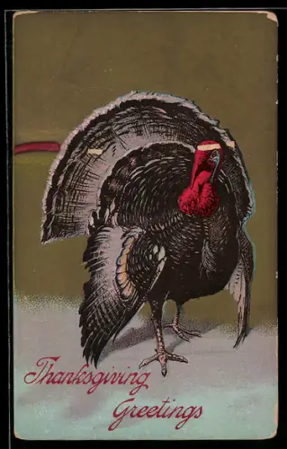 AK Truthahn im Schnee, Thanksgiving