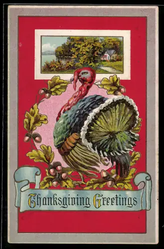 Präge-AK Truthahn vor Eichenlaub, Thanksgiving