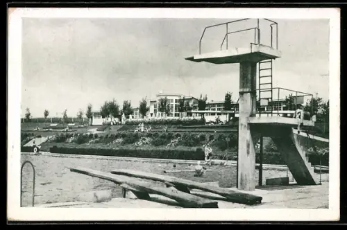 AK Königinhof a. d. E., Freibad mit Sprungturm