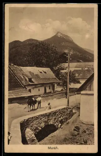 AK Muran, Brücke mit Bergpanorama