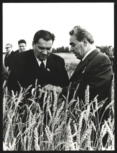 Fotografie Leonid Breschnew besucht das Versuchsfeld des Altai-Forschungsinstitutes für Landwirtschaft