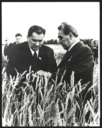 Fotografie Leonid Breschnew auf einem Versuchsfeld des Forschungsinstitut für Landwirschaft im Altai-Gebiet