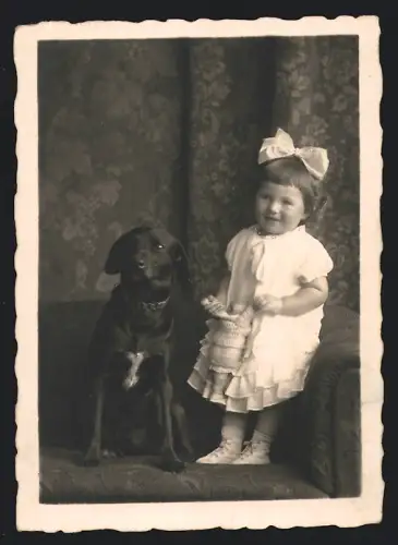 Fotografie A. Hein, Kiel, Spielzeug, Mädchen mit Puppe nebst Hund