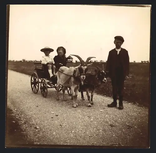 Fotografie Ansicht Littlehampton, Knabe und Mädchen fahren mit Ziegengespann