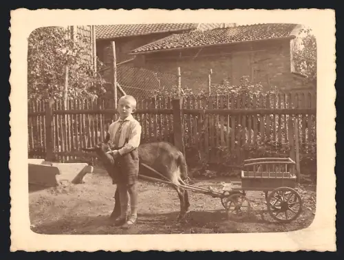 Fotografie Blonder Knabe mit Ziegengespann