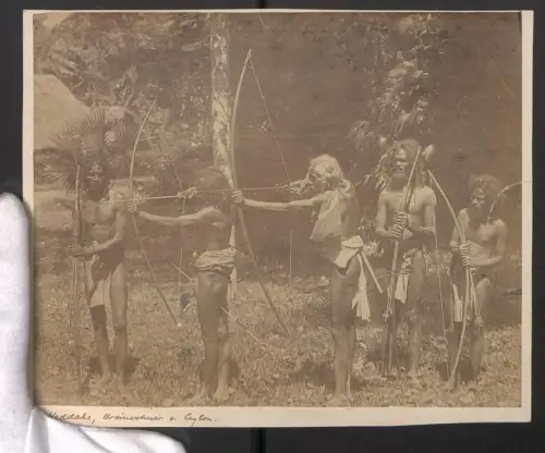 Fotografie unbekannter Fotograf und Ort, Weddahs, Ureinwohner von Ceylon, Gruppe mit Pfeilen und Bögen, 22 x 27cm
