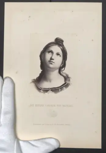 Fotografie F. & O. Brockmann, Dresden, Die Heilige Caecilie nach einem Gemälde von Raphael, Grossformat 26 x 18cm