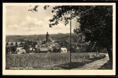 AK Lambrechten /O. Ö., Ortsansicht v. d. Landstrasse