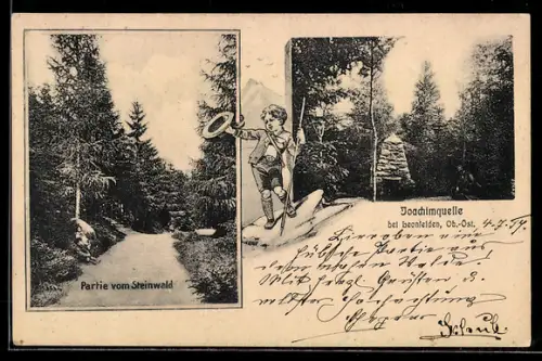 AK Steinwald bei Leonfelden, Partie mit Waldweg, Joachimquelle