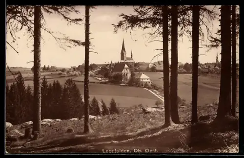 AK Leonfelden /Ob. Oest., Panorama mit Ort u. Kirche