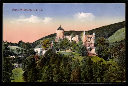 AK Kirchschlag bei Linz, Wildberg, Burgruine
