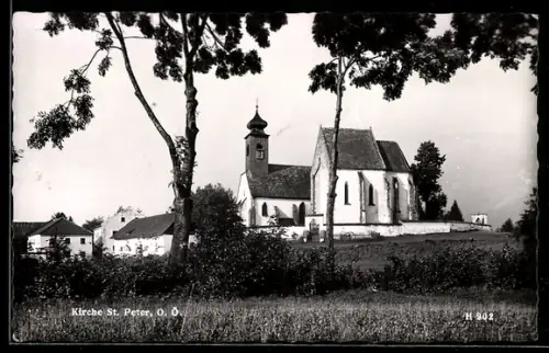 AK St. Peter /O. Ö., Kirche u. benachbarte Häuser