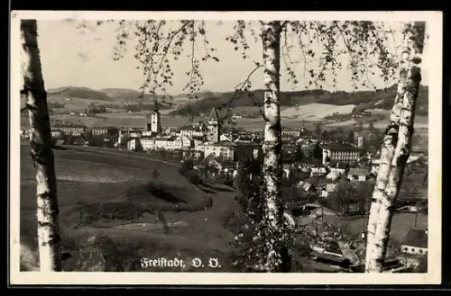 AK Freistadt /Ob. Öst., Ortsansicht mit Hügelpanorama