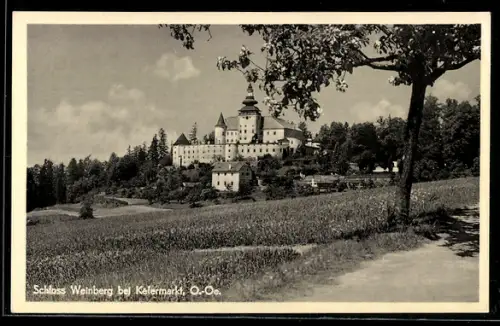 AK Kefermarkt, Schloss Weinberg von der Landstrasse aus