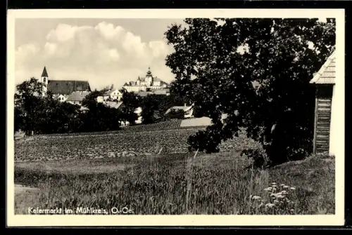 AK Kefermarkt im Mühlkreis, Panorama mit Ort und Feldern