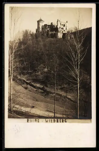 AK Kirchschlag bei Linz, Wildberg, Ruine