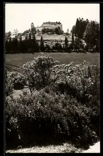 AK Reichenau /O.-Ö., Schloss Starhemberg
