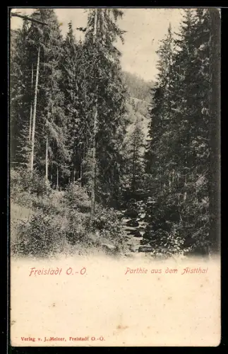 AK Freistadt /O.-O., Partie aus dem Aistthal