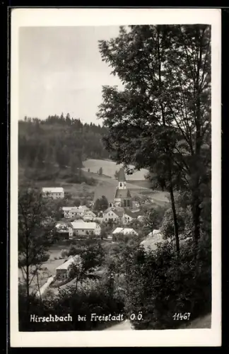 AK Hirschbach bei Freistadt, Ortsansicht mit Kirche