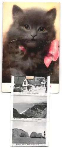 Leporello-AK Douglas Tempest: Yarmouth /Isle of Wight, The Square, Totland Bay, Cowes, Sandown Bay, Ryde, Ventnor