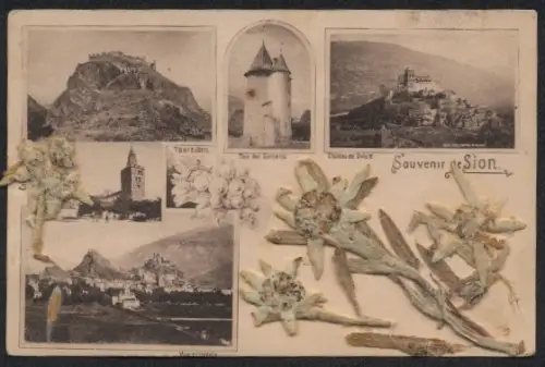 Trockenblumen-AK Sion, Tourbillon, Tour des Sorcières, Château de Valère, Getrocknete Edelweiss-Blüten