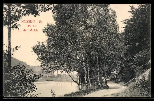AK Nossen i. Sa., Partie an der Mulde