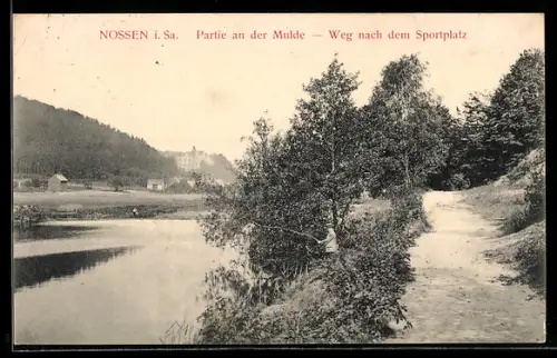 AK Nossen i. Sa., Partie an der Mulde, Weg nach dem Sportplatz