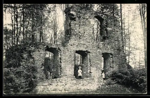 AK Altzella bei Nossen, Überreste der Abtei-Ruine im Kloster